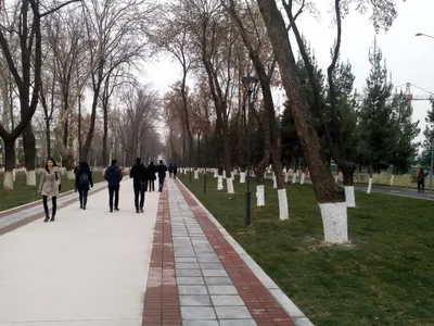 '"Ўзгидромет" дам олиш кунлари об-ҳаво қандай бўлиши ҳақида маълум қилди'ning rasmi