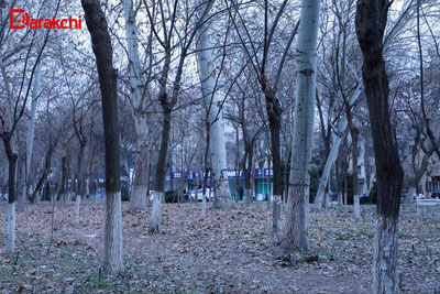 Изрображение 'В Ташкенте сегодня +10, без осадков'