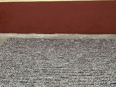 Image of 'A large shipment of "Regapen" brought from Kyrgyzstan was seized.'