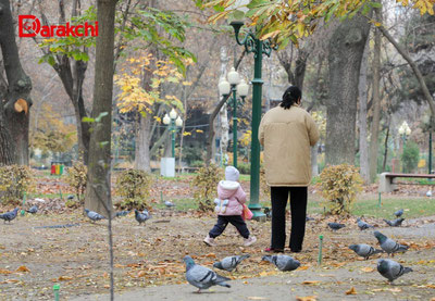 Image of 'What will the weather be like today?'