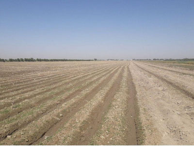 Image of '- Darakchi.uz'