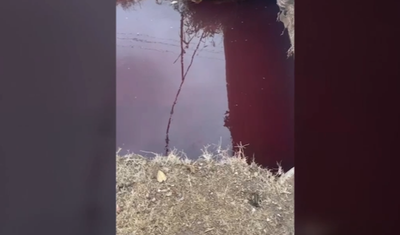 Изрображение 'Экологи расследовали появление "кровавой воды" в канале под Ташкентом'
