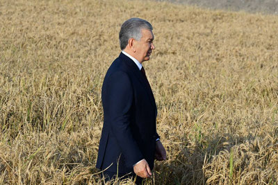 Image of '- Darakchi.uz'
