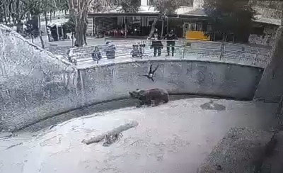 Image of 'A 7-year-old girl in Tashkent was stabbed to death by her mother.'