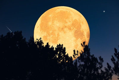 Image of 'Tomorrow the Moon will come to the closest distance to the Earth.'