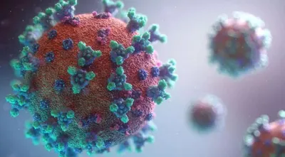 Изображение 'Число заболевших COVID-19 в Узбекистане растет рекордными темпами'