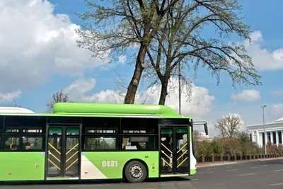 '15 декабрдан Тошкентдаги баъзи автобусларнинг йўналиши қисқартирилади'ning rasmi