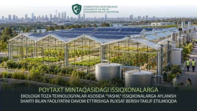 Изображение 'Тепличникам могут разрешить остаться в столичном регионе при одном условии'
