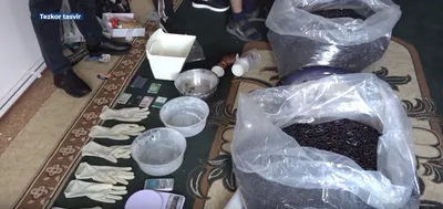 Изображение 'В Гулистане пресекли деятельность подпольной лаборатории прегабалина'