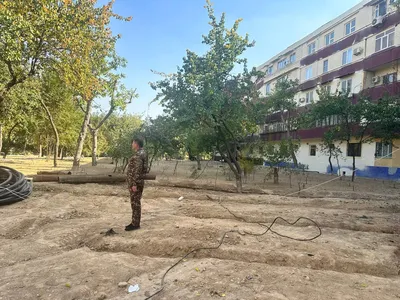 Изображение 'В Мирзо-Улугбекском районе жители опасаются, что на месте детской площадки появится парковка'