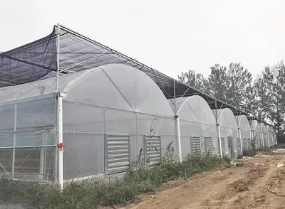 Изображение 'Газовый вопрос для теплиц: что изменят новые экологические правила'
