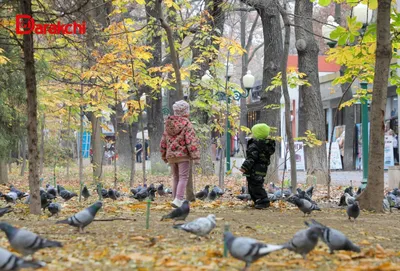'Бугун об-ҳаво қандай бўлади?'ning rasmi